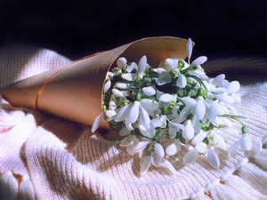 small bunch, snowdrops