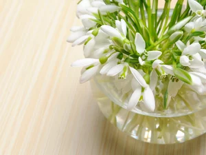 snowdrops, glass, Vase