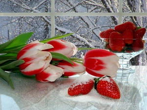 Window, Tulips, strawberries, snow