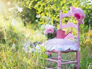 watering can, grass, geranium, Hat, Chair, Flowers, summer
