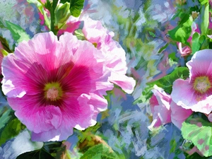 Hollyhocks, ligh, Alberto Guillen, sun, luminosity, watercolor, picture, flash