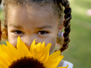 Sunflower, girl, pigtail