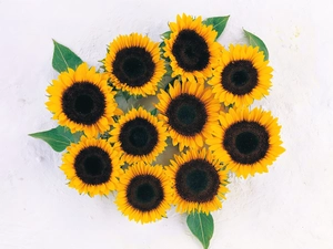 bouquet, sunflowers