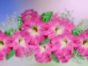 2D Graphics, Flowers, surfinia