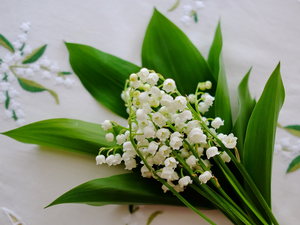 Embroidered, tablecloth, lilies, Leaf, Flowers