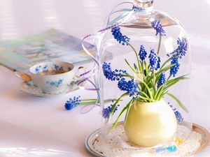 Muscari, tea, cup, small bunch