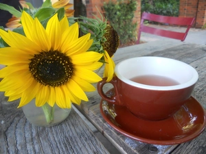 tea, Sunflower, cup