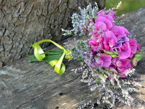 trees, board, bouquet, trunk, Sweet Peas