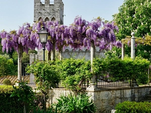 purple, Flowers, Lighthouse, wistaria, viewes, tower, Garden, trees