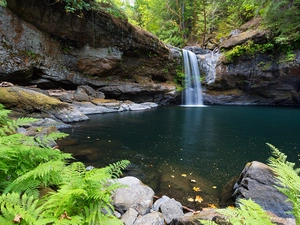 Stones, rocks, Plants, fern, viewes, mossy, waterfall, trees