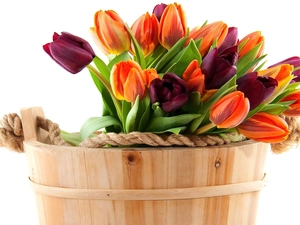 Tulips, wooden, Ceberek