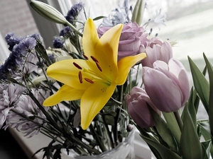 Tulips, bouquet, flowers