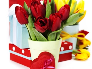 Tulips, Heart teddybear, Valentine