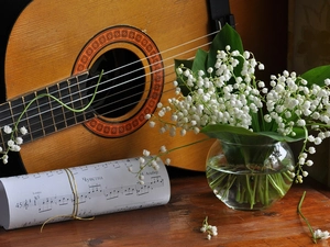 Tunes, lilies, Guitar