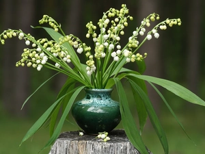 vase, small bunch, trees, viewes, trunk, Lily of the Valley