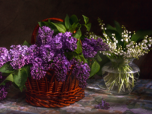 Violet, Bouquets, basket, Vase, without, lily of the Valley