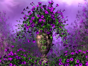 Flowers, Vase, 2D Graphics, petunia