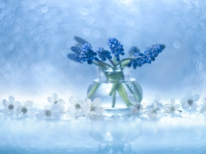 Blue, decoration, vase, Bokeh, Flowers, Muscari