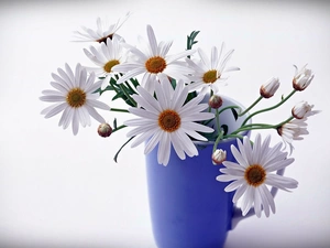 bouquet, blue, Vase, Camomile