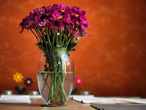 Chrysanthemums, Vase