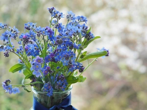 Vase, bouquet, Forget