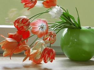 vase, Tulips, Green