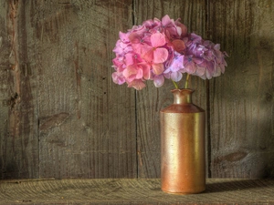 hydrangea, vase