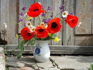 Vase, bouquet, papavers