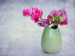 vase, Flowers, peas