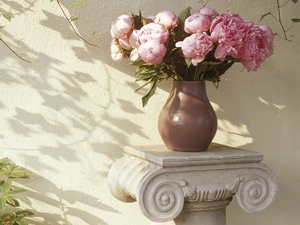 vase, Pink, Peonies