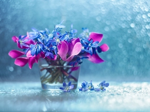 Siberian squill, decoration, vase, Bokeh, Flowers, Cyclamen