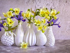 White, vases, Jonquil, Irises, Flowers