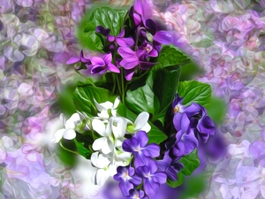 graphics, Flowers, fragrant violets