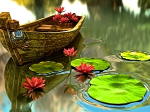 water, Boat, lilies