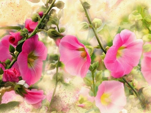 Hollyhocks, picture, watercolor, Flowers