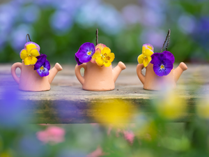 Flowers, pansies, clay, Watering Cans, Three