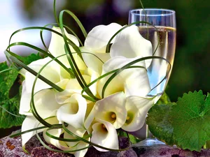 Kalia, glass, Champagne, White