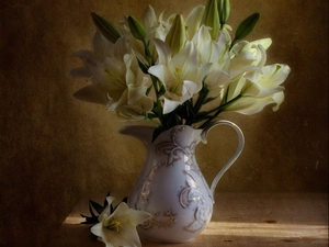 tiger Lilies, pitcher, White