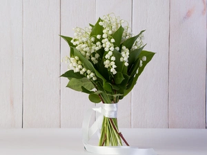 White Ribbon, boarding, Lily of the Valley, bouquet, Flowers