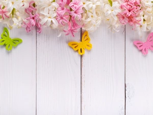 Pink, Hyacinths, White, White, Flowers, butterflies, boarding