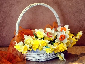 Daffodils, Flowers, basket, narcissus, Spring, wicker, apatite