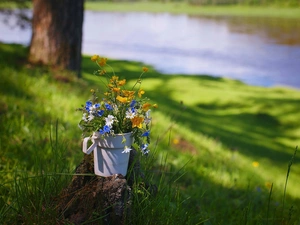 bouquet, Flowers, glaucoma, Wildflowers