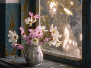jug, Window, flowers, Cosmos, bouquet