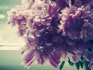 Window, bouquet, Peony