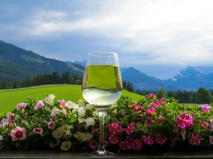 petunias, blurry background, Wine, Flowers, glass
