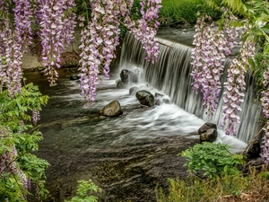wistaria, waterfall, River