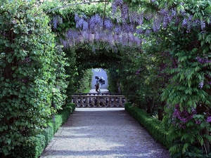 Park, Wisteria, Statue monument, Blossoming
