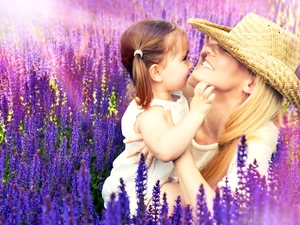 sun, lavender, Women, Hat, girl, rays